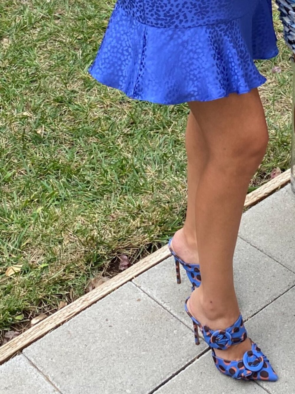SCHUTZ Blue and Brown Leopard-Print Pointed Mule Heels - Picture 5 of 8